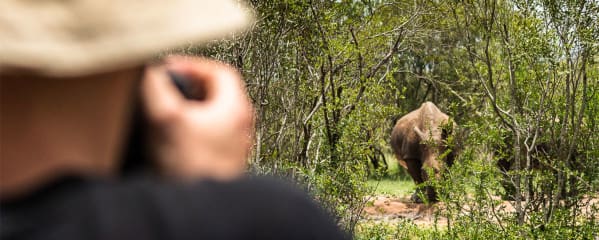 Packliste Afrika Safari