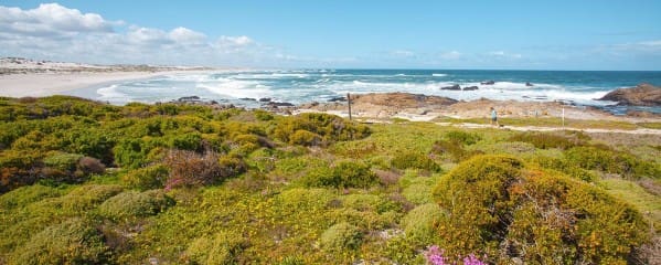 West Coast National Park Südfrika