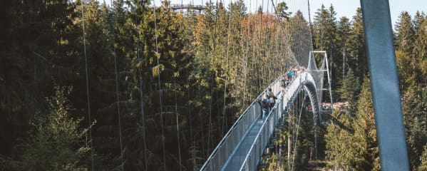 Wildline in Bad Wildbad im Schwarzwald