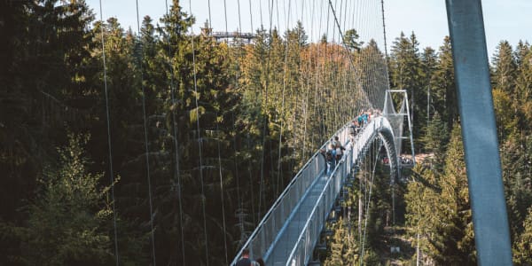 Wildline in Bad Wildbad im Schwarzwald