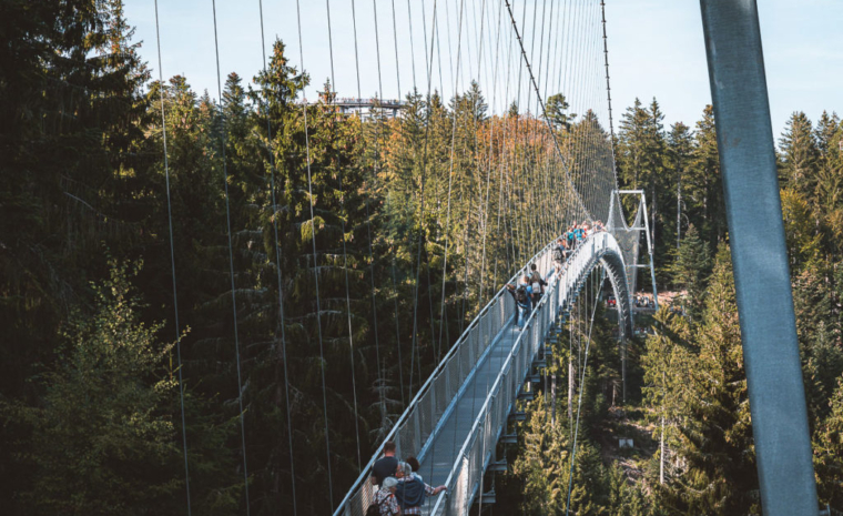 Wildline in Bad Wildbad im Schwarzwald