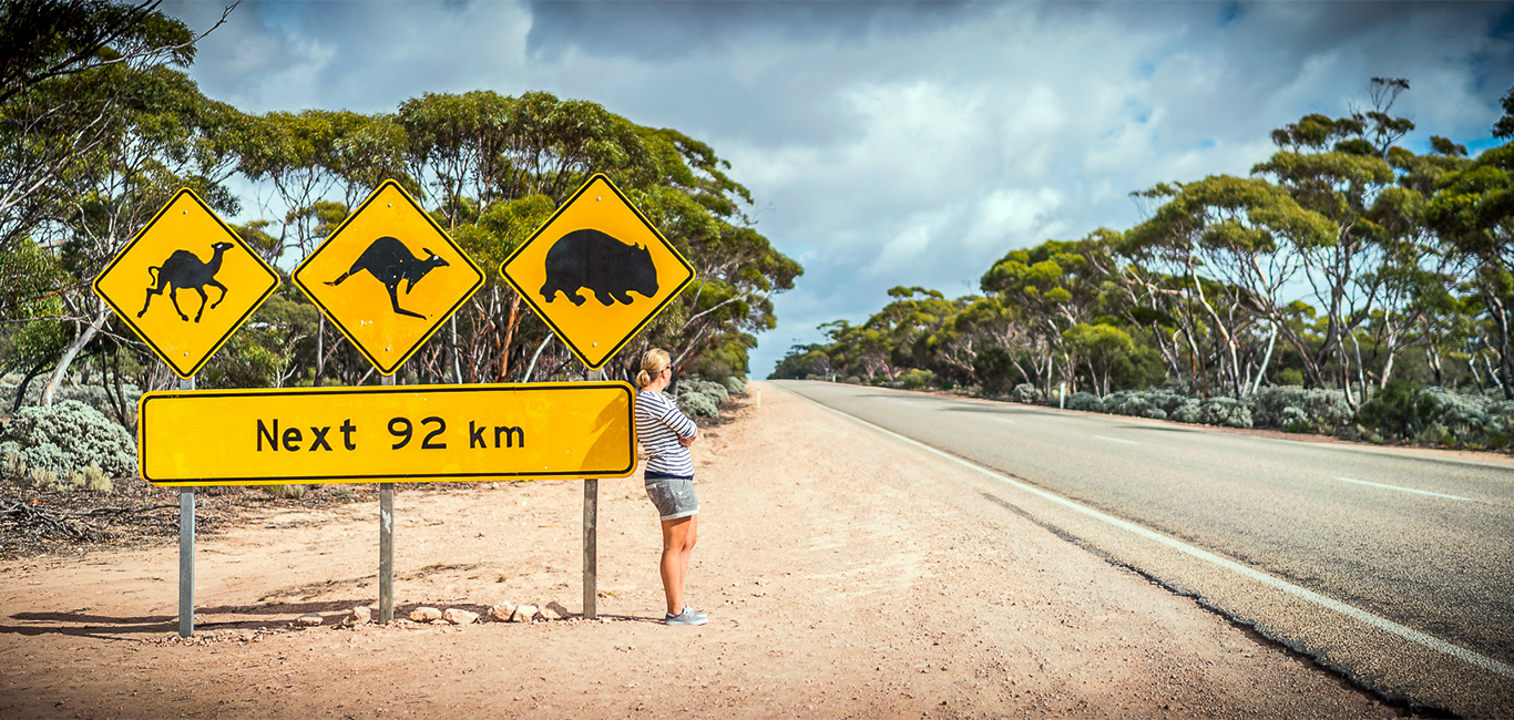 Reisebericht Roadtrip Adelaide bis Perth durch Nullarbor