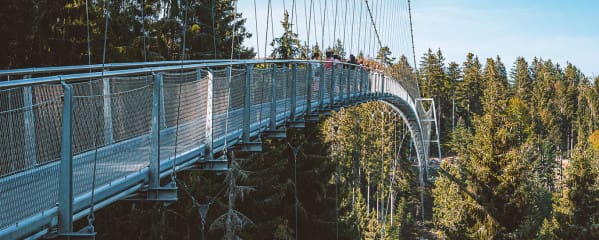 Baden-Württemberg Reiseblog Wildline Schwarzwald