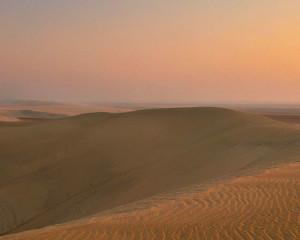 Doha Katar Ausflüge Wüste