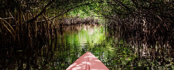 Everglades Florida Kajakfahren