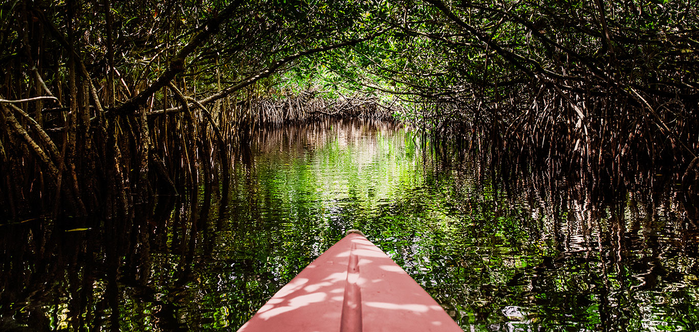 Everglades Florida Kajakfahren