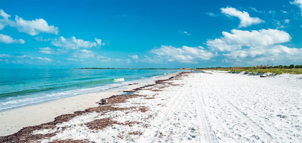 Florida Caladesi Island Strand Clearwater St. Petersburg Sehenswürdigkeiten