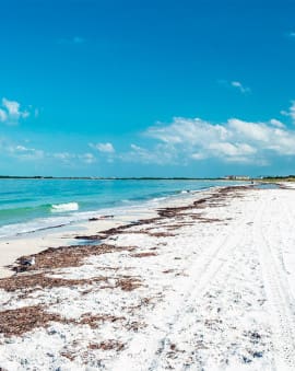 Florida Caladesi Island Strand Clearwater St. Petersburg Sehenswürdigkeiten