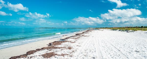 Florida Caladesi Island Strand Clearwater St. Petersburg Sehenswürdigkeiten