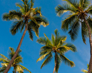Hawaii beste Reisezeit