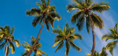 Hawaii beste Reisezeit