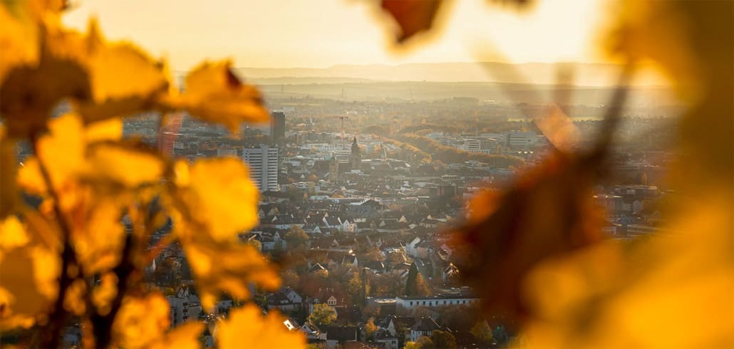 Heilbronn Wartberg Herbst