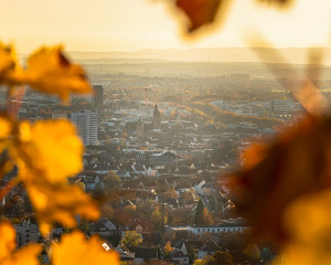 Heilbronn Wartberg Herbst