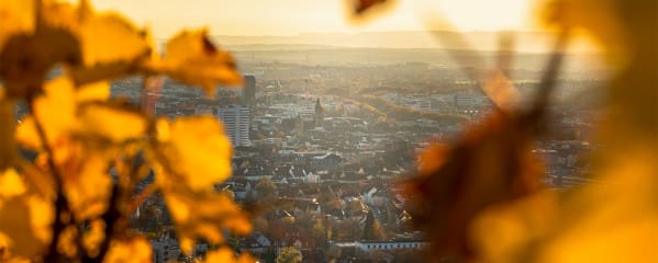 Heilbronn Wartberg Herbst