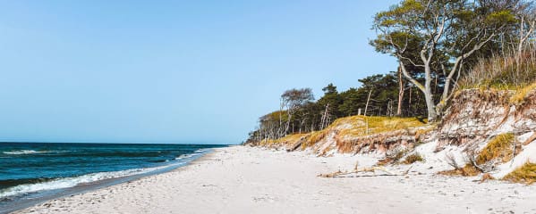 Mecklenburg-Vorpommern Ostsee Strand Darss