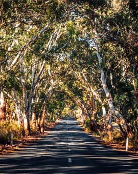 Australien Reisetipps Rundreise Urlaub planen