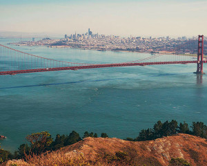 San Francisco Reiseblog & Erfahrungsbericht