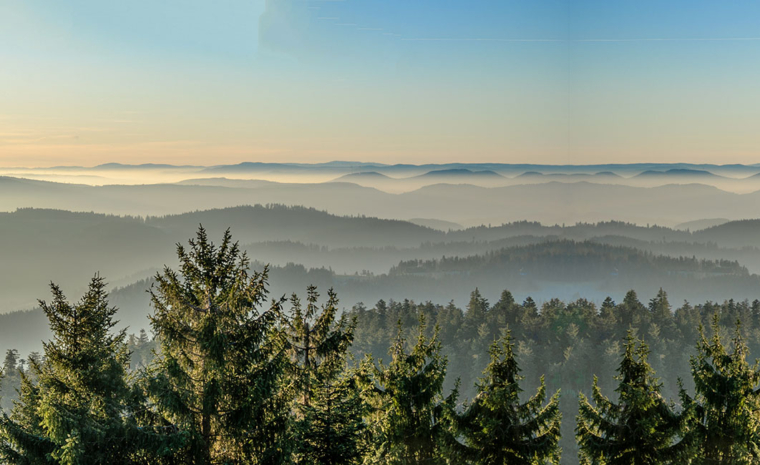Schwarzwald die schönsten Orte und Highlights