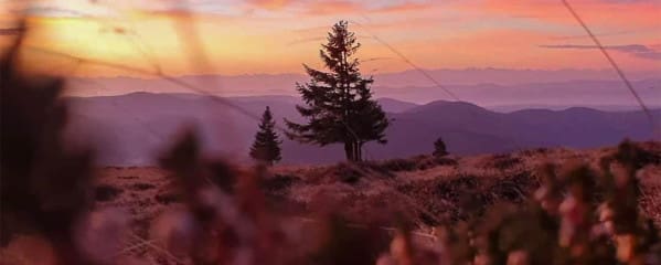 Schwarzwald Sonnenaufgang Belchen