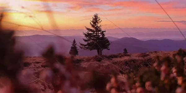 Schwarzwald Sonnenaufgang Belchen