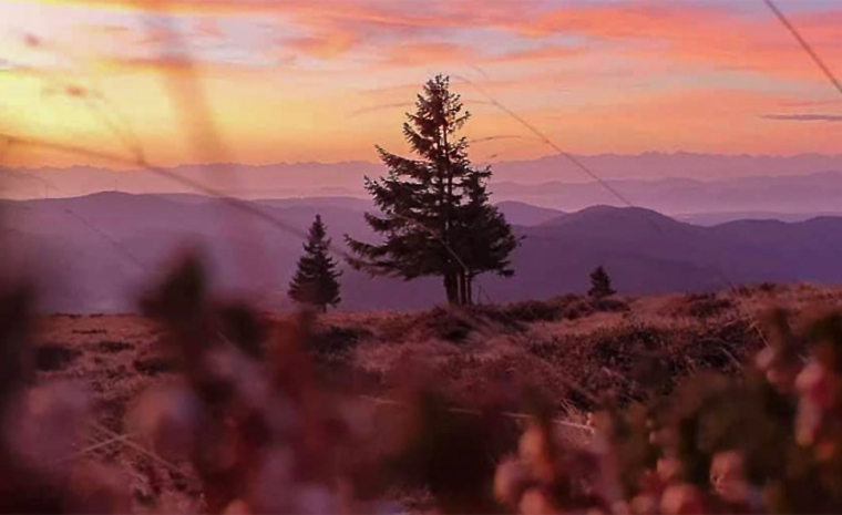 Schwarzwald Sonnenaufgang Belchen