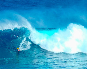 Hawaii Urlaub Reise Tipps Surfer North Shore