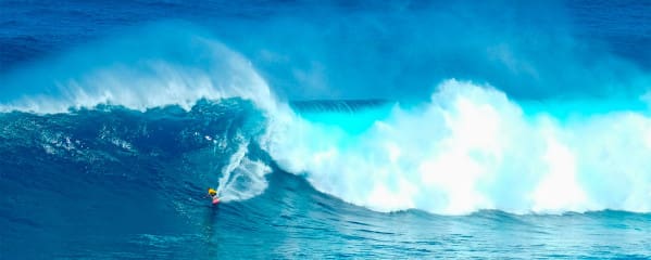 Hawaii Urlaub Reise Tipps Surfer North Shore