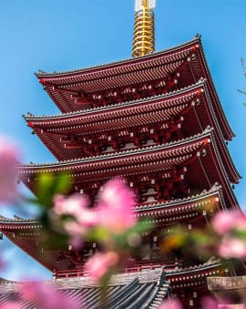 Japan beste Reisezeit Erfahrung