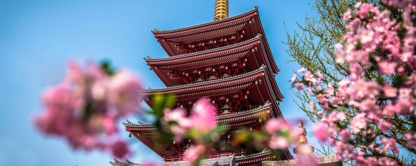 Japan beste Reisezeit Erfahrung