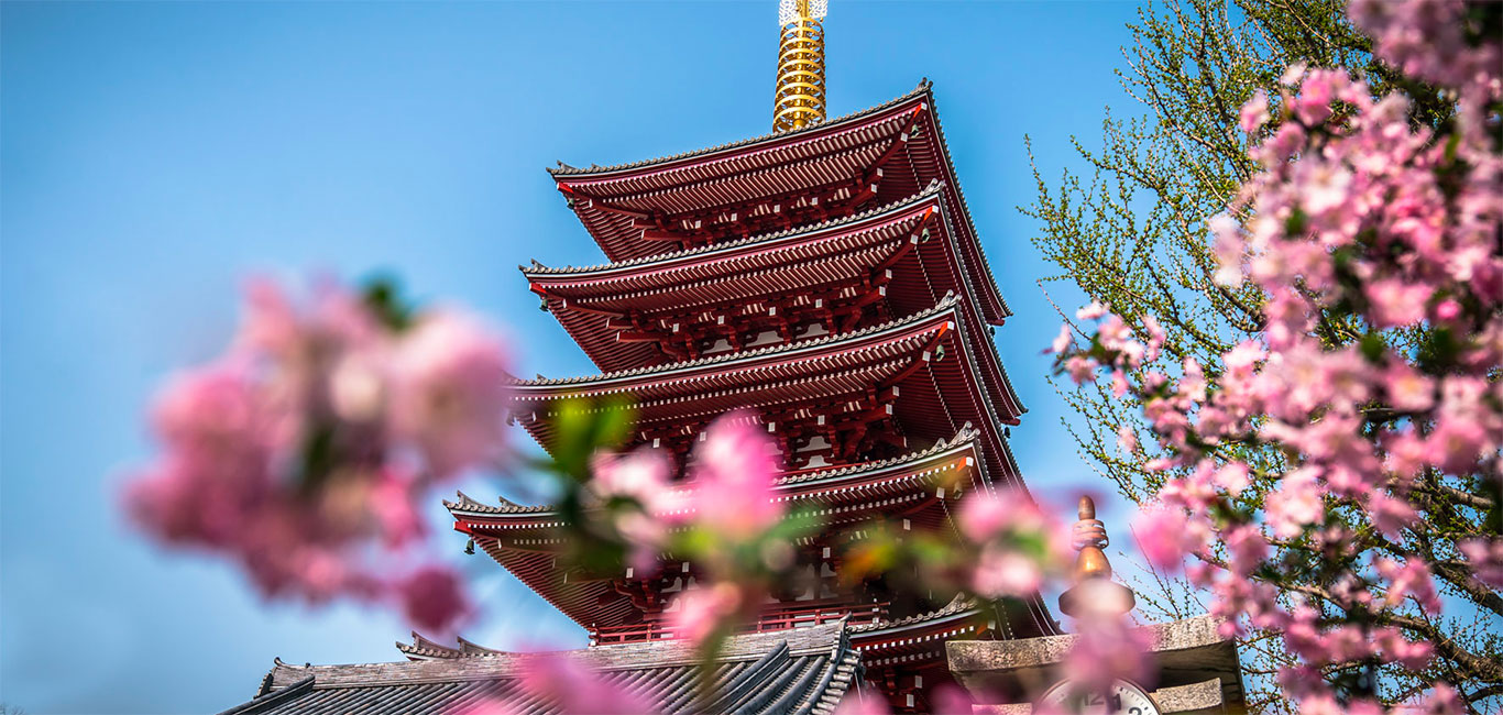 Japan beste Reisezeit Erfahrung
