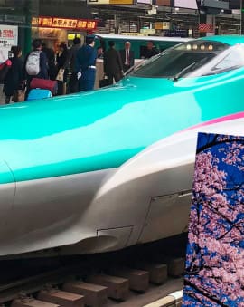 Japan Rail Pass loht sich Erfahrung kaufen