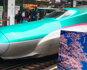 Japan Rail Pass loht sich Erfahrung kaufen