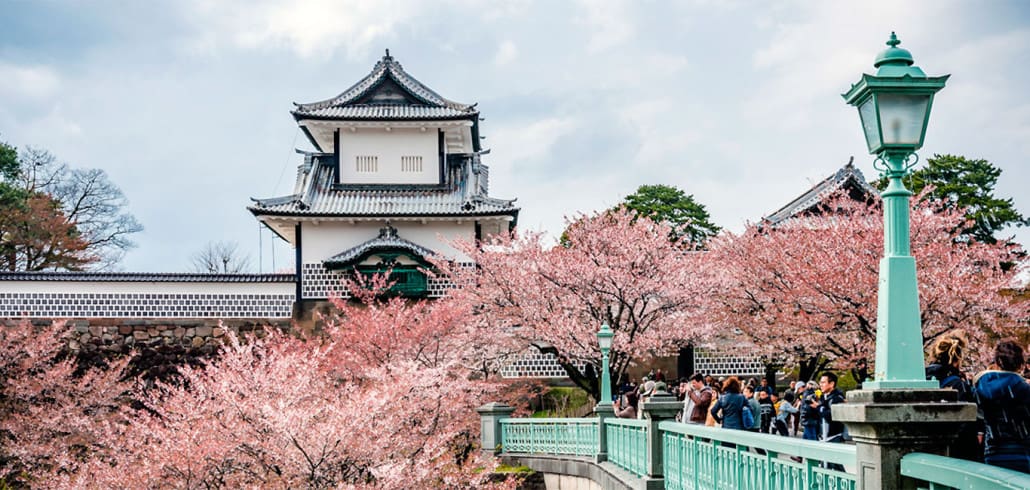 Kirschbluete Japan Hanami Wann und TIpps