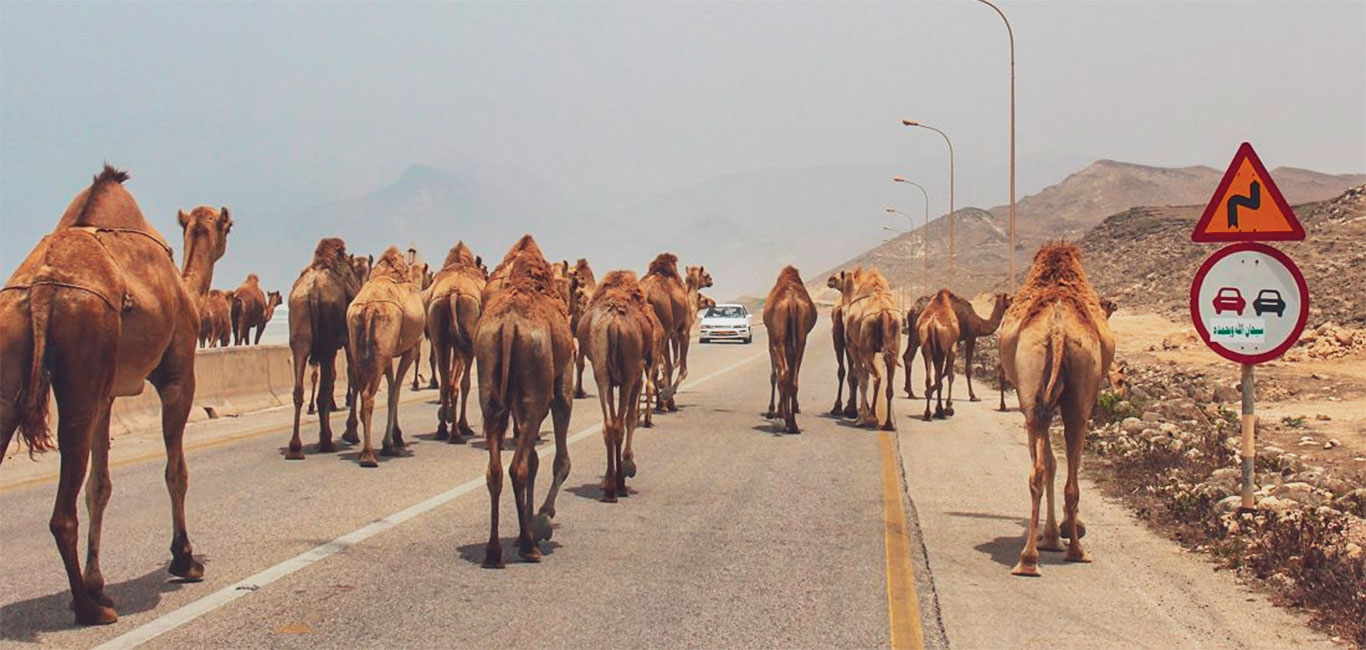 Oman Rundreise Reisebericht