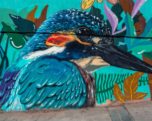 Valparaiso in Chile Street-Art, das Highlight