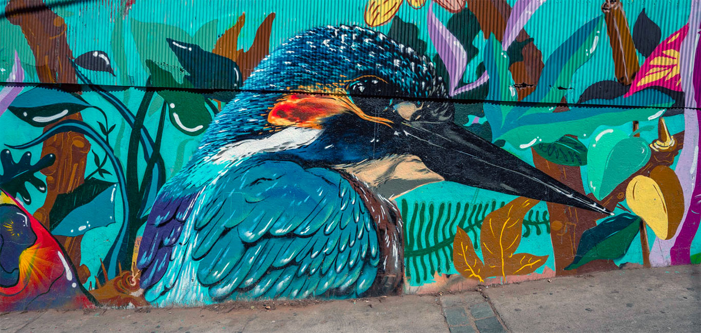Valparaiso in Chile Street-Art, das Highlight