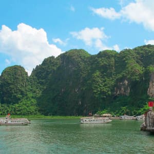 Vietnam Backpacking Erfahrung & highlights