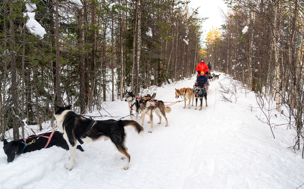 Finnland Im Winter: 1 Woche Urlaub In Iso-Syöte (Lappland) 79 79 - Viel-Unterwegs.de