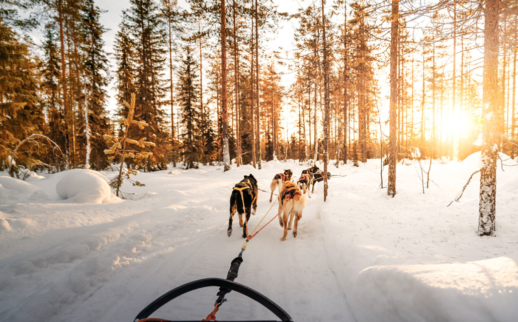 Finnland Im Winter: 1 Woche Urlaub In Iso-Syöte (Lappland) 81 81 - Viel-Unterwegs.de