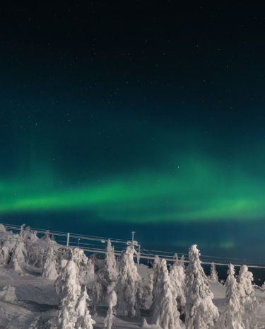 Nordlichter in Finnland (Lappland)
