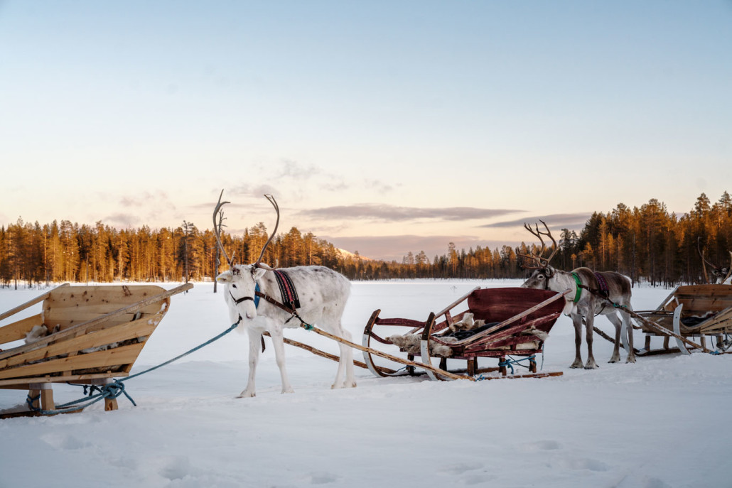 Finnland Im Winter: 1 Woche Urlaub In Iso-Syöte (Lappland) 86 86 - Viel-Unterwegs.de