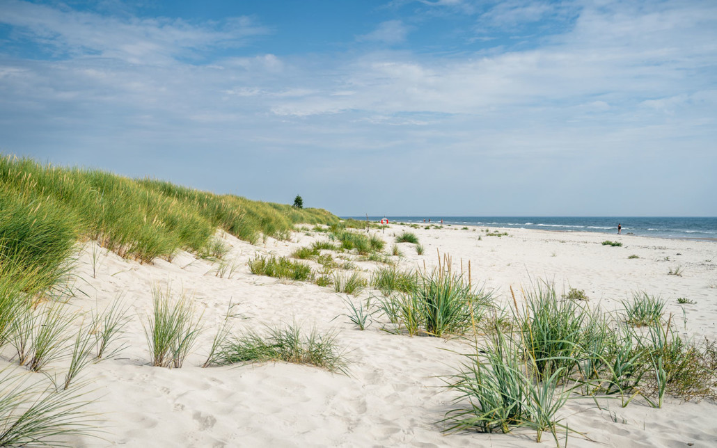 Sandhammaren Schweden - der schönste Strand an der Ostseeküste