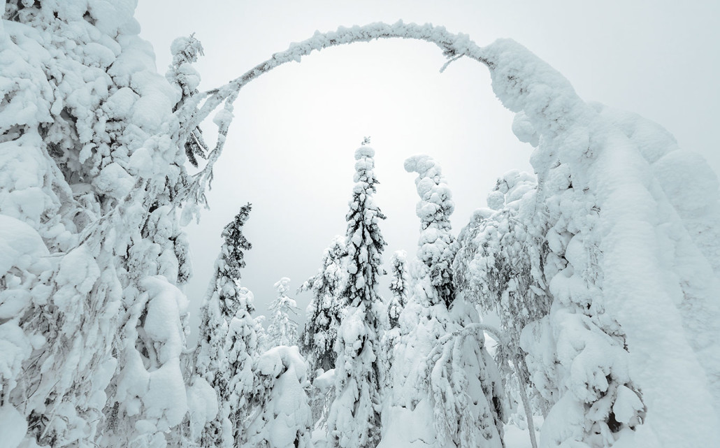 Finnland Im Winter: 1 Woche Urlaub In Iso-Syöte (Lappland) 49 49 - Viel-Unterwegs.de
