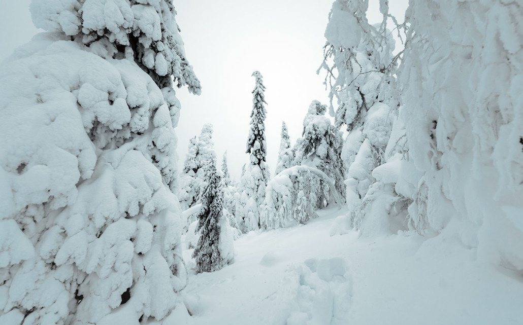 Finnland Im Winter: 1 Woche Urlaub In Iso-Syöte (Lappland) 50 50 - Viel-Unterwegs.de