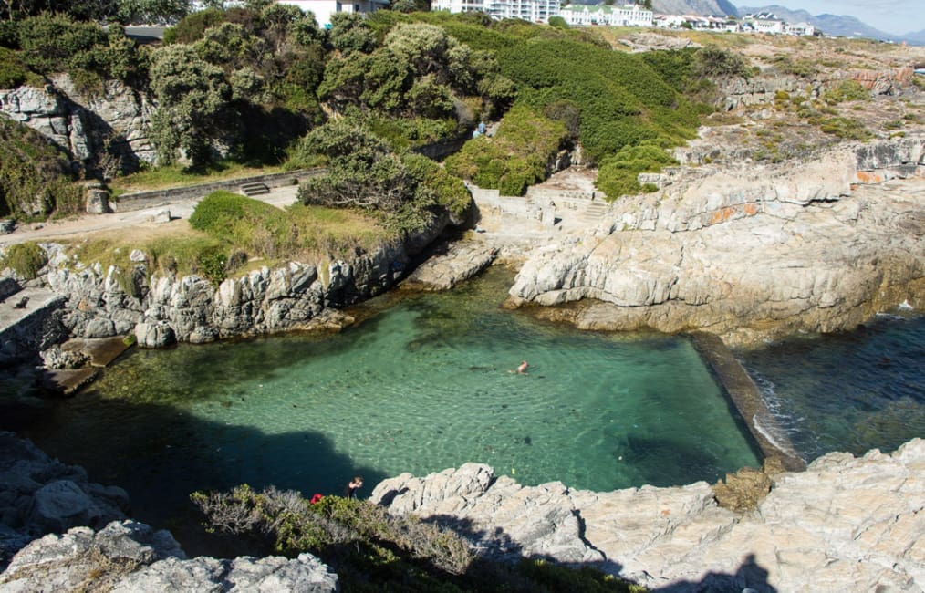 Hermanus in Südafrika: Tipps für Highlights (Essen, Unterkünfte, Wale)