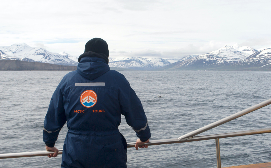 Whale Watching im Norden Islands