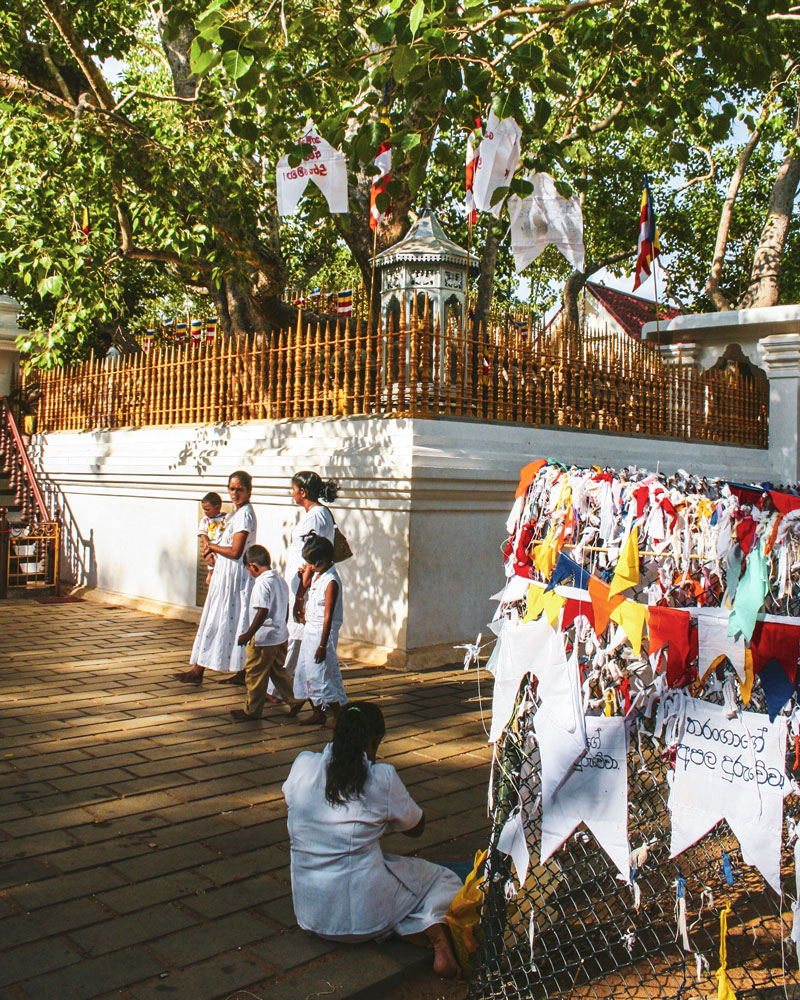 Kulturelles Dreieck Sri Lanka: Kandy, Dambulla, Sigiriya Und Anuradhapura 36 36 - Viel-Unterwegs.de