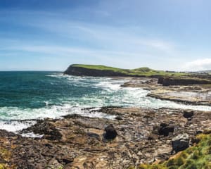 Catlins Neuseeland Tipps & Highlights