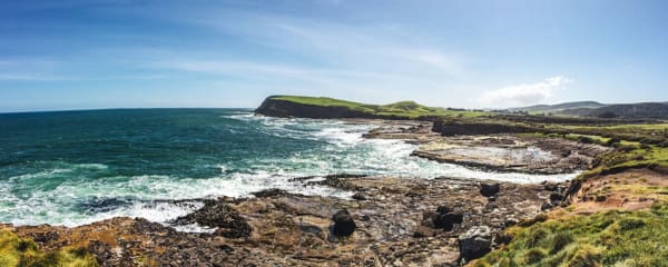 Catlins Neuseeland Tipps & Highlights