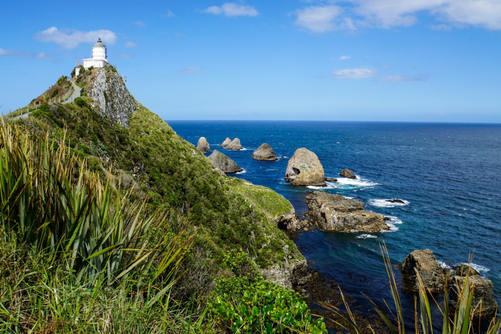 The Catlins Im Südosten Der Südinsel Neuseeland: Meine Highlights Und Tipps 18 18 - Viel-Unterwegs.de